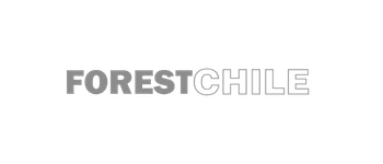 Logo 18